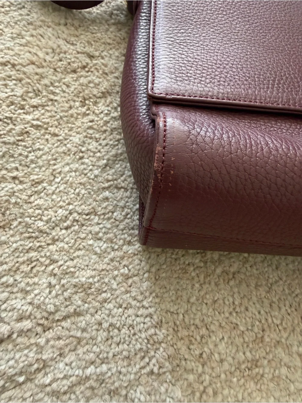 Cuyana Burgundy Leather Crossbody Bag
